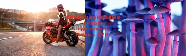 Альфа ПВП Волоколамск