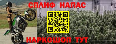 гашик Балаково
