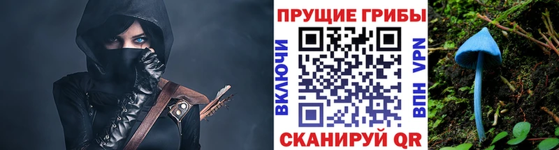 Галлюциногенные грибы Magic Shrooms  Вольск 