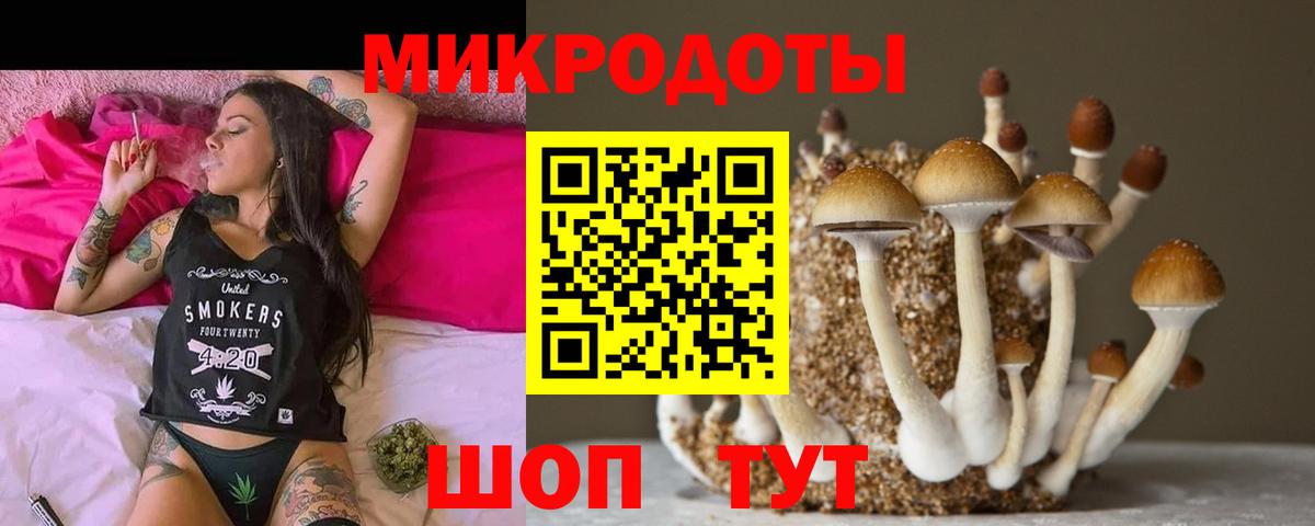 Вольск  дарнет шоп  Вход с VPN  Галлюциногенные грибы Psilocybe 