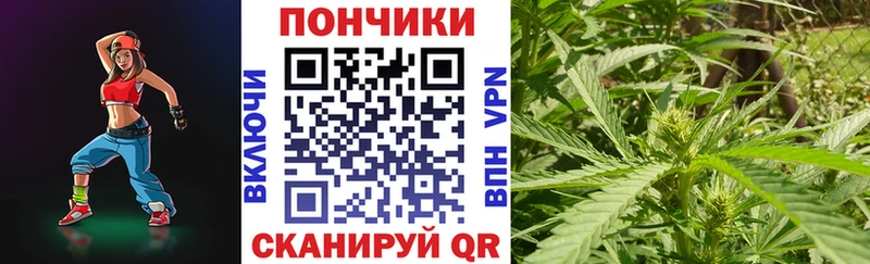 Бошки марихуана гибрид  shop Telegram  Вольск  mega онион 