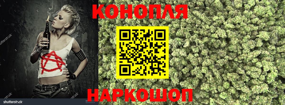 Конопля марихуана Вольск